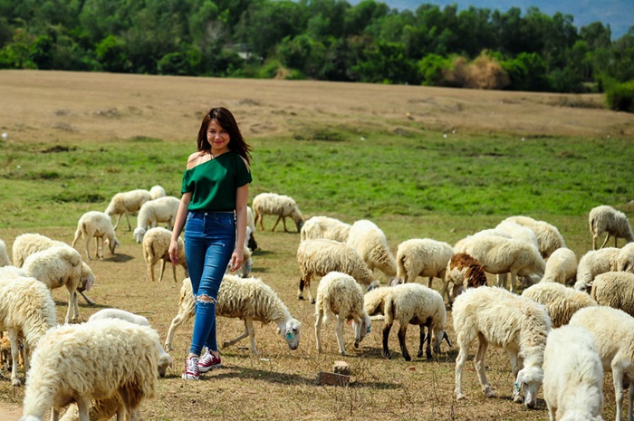 Đồng Cừu Suối Nghệ Vũng Tàu