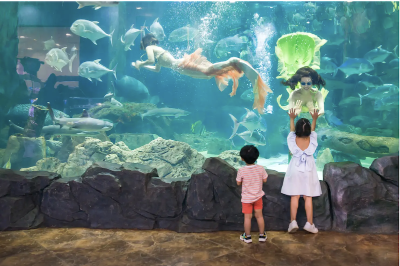 Show nàng tiên cá đầy màu sắc trong lòng đại dương | Nguồn: Traveloka